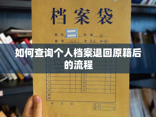 如何查询个人档案退回原籍后的流程