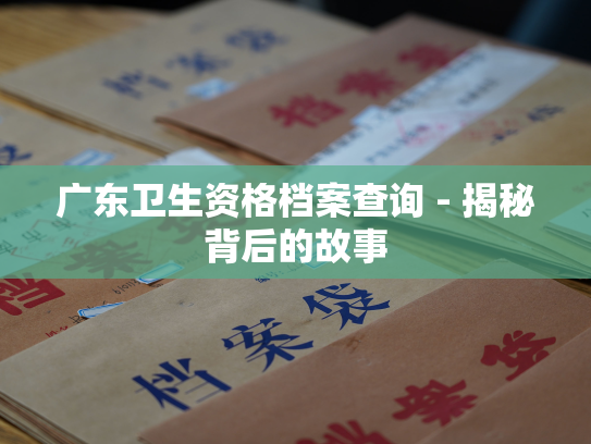 广东卫生资格档案查询 - 揭秘背后的故事