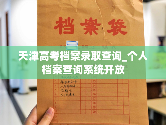天津高考档案录取查询_个人档案查询系统开放