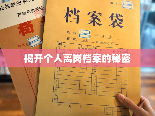 揭开个人离岗档案的秘密