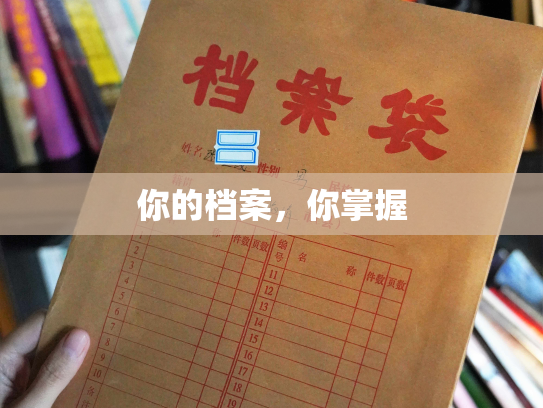 你的档案，你掌握