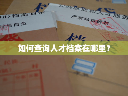 如何查询人才档案在哪里？