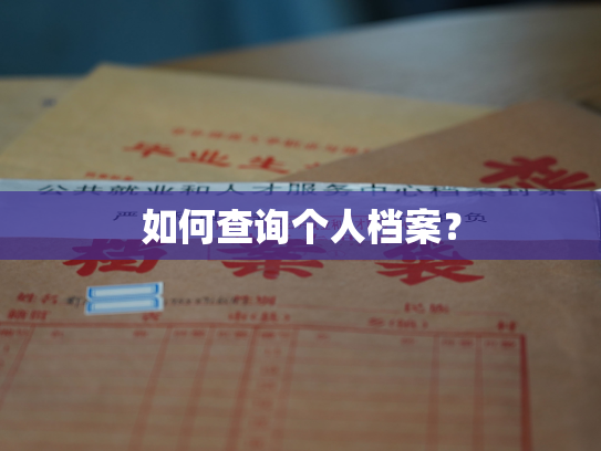 如何查询个人档案？