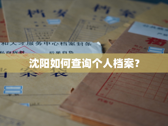 沈阳如何查询个人档案？