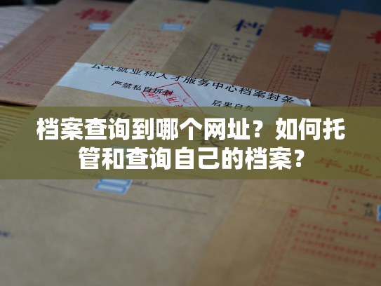 档案查询到哪个网址？如何托管和查询自己的档案？