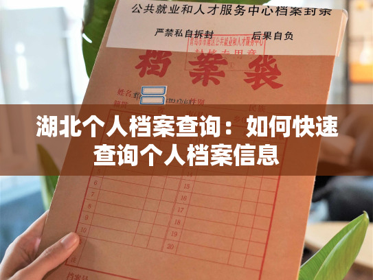 湖北个人档案查询：如何快速查询个人档案信息