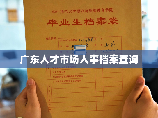 广东人才市场人事档案查询