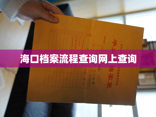 海口档案流程查询网上查询