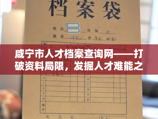 咸宁市人才档案查询网——打破资料局限，发掘人才难能之地