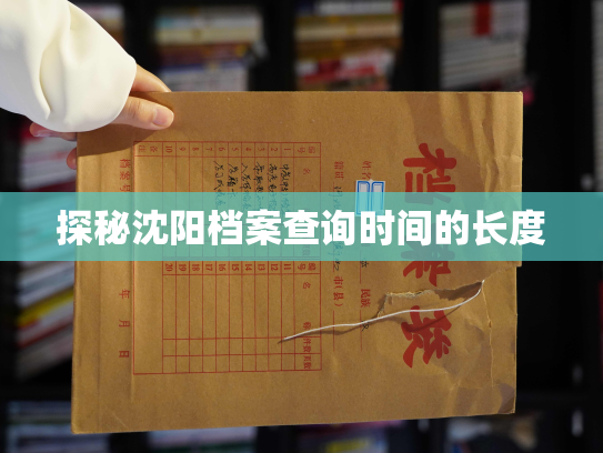 探秘沈阳档案查询时间的长度