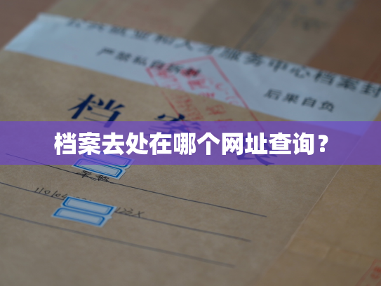 档案去处在哪个网址查询？