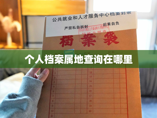 个人档案属地查询在哪里