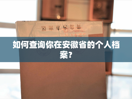 如何查询你在安徽省的个人档案？