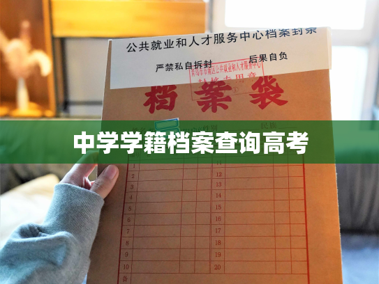 中学学籍档案查询高考