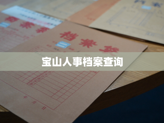 宝山人事档案查询