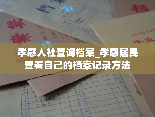 孝感人社查询档案_孝感居民查看自己的档案记录方法
