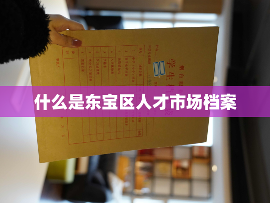 什么是东宝区人才市场档案