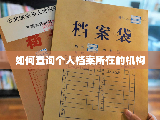 如何查询个人档案所在的机构