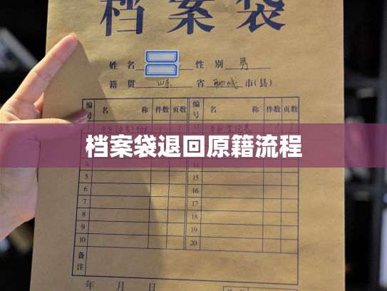 档案袋退回原籍流程