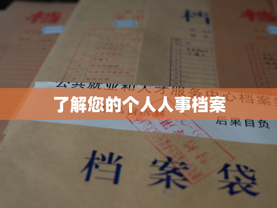 了解您的个人人事档案