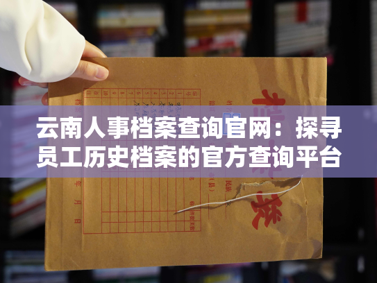 云南人事档案查询官网：探寻员工历史档案的官方查询平台