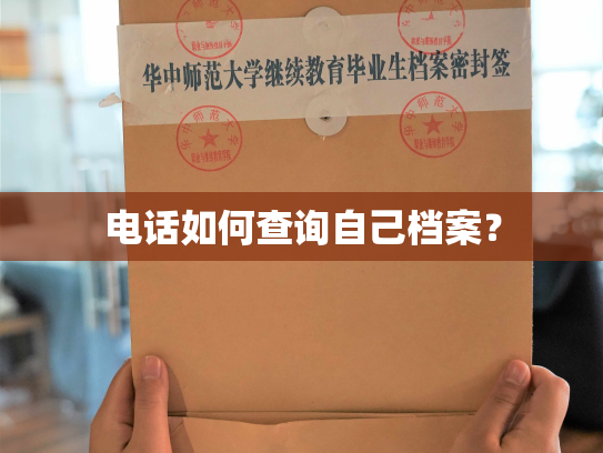 电话如何查询自己档案？