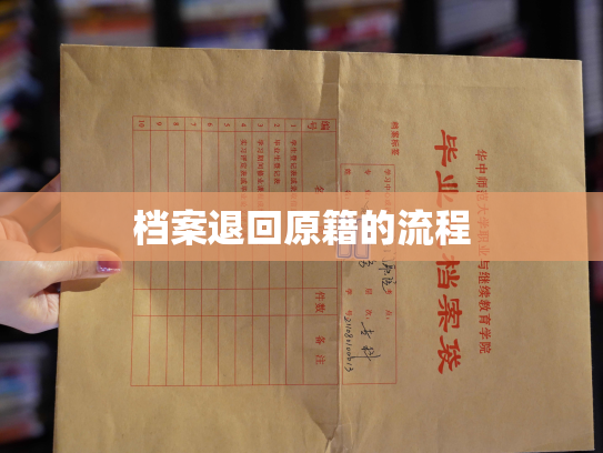 档案退回原籍的流程