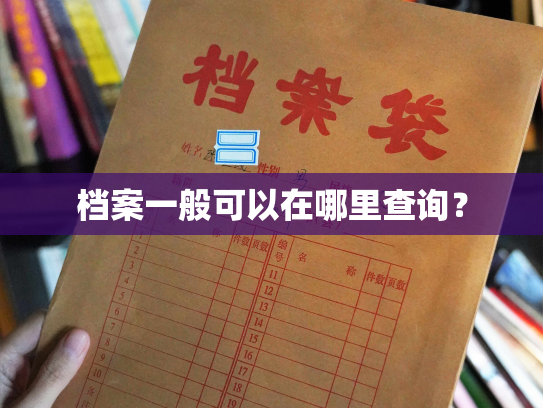 档案一般可以在哪里查询？