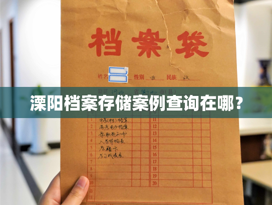 溧阳档案存储案例查询在哪？