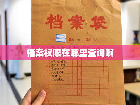 档案权限在哪里查询啊