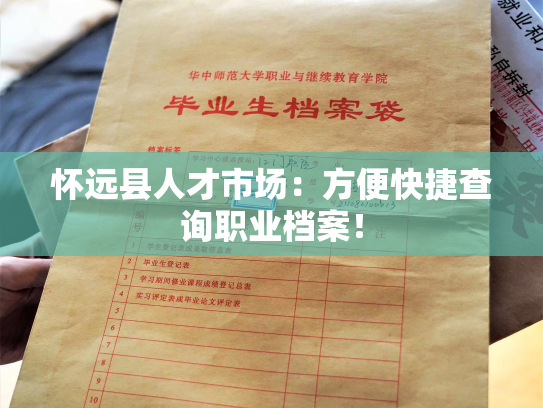 怀远县人才市场：方便快捷查询职业档案！