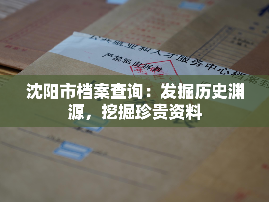 沈阳市档案查询：发掘历史渊源，挖掘珍贵资料