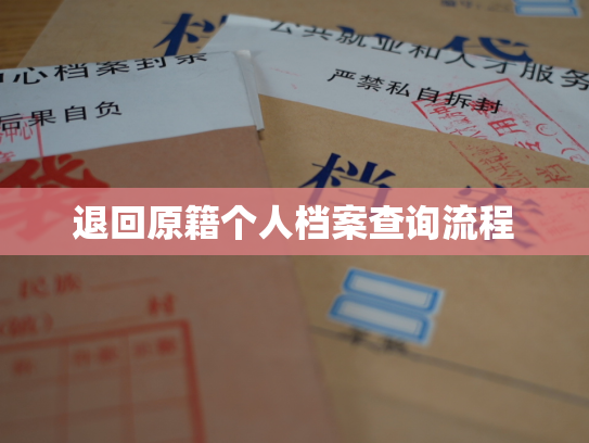 退回原籍个人档案查询流程