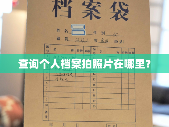 查询个人档案拍照片在哪里？