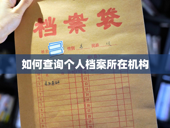 如何查询个人档案所在机构