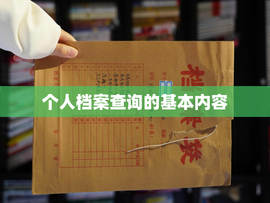 个人档案查询的基本内容