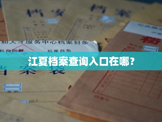 江夏档案查询入口在哪？
