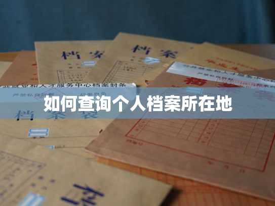 如何查询个人档案所在地