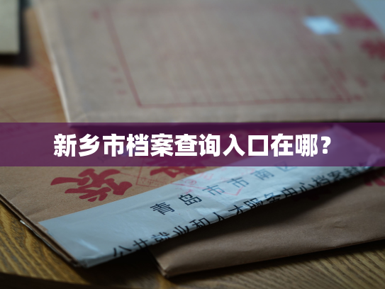 新乡市档案查询入口在哪？