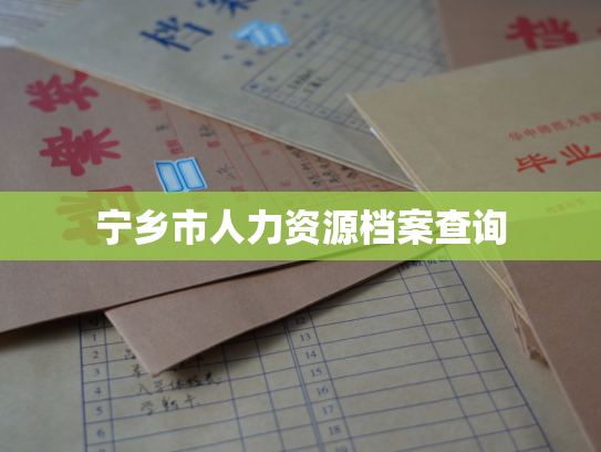 宁乡市人力资源档案查询