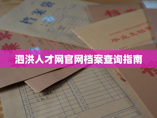 泗洪人才网官网档案查询指南
