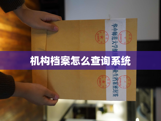 机构档案怎么查询系统