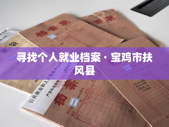 寻找个人就业档案 · 宝鸡市扶风县