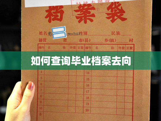 如何查询毕业档案去向