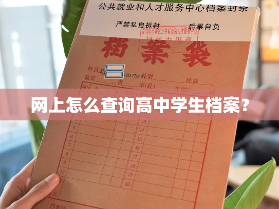 网上怎么查询高中学生档案？