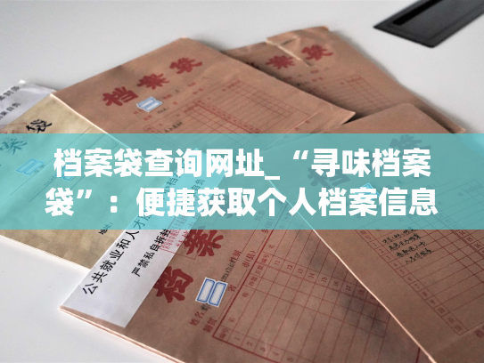 档案袋查询网址_“寻味档案袋”：便捷获取个人档案信息的网站
