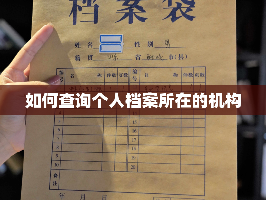 如何查询个人档案所在的机构