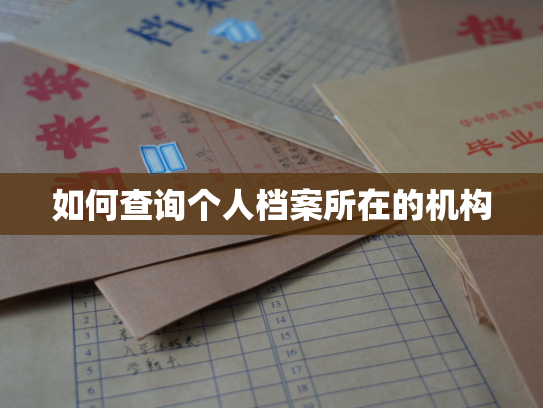 如何查询个人档案所在的机构