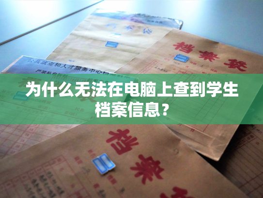 为什么无法在电脑上查到学生档案信息？