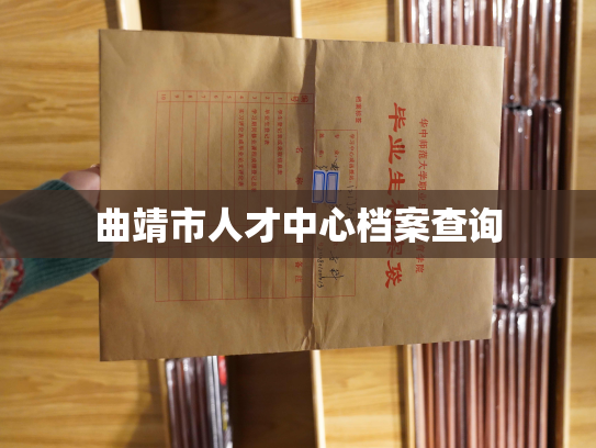 曲靖市人才中心档案查询